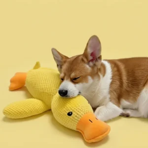 duck_cover Cuddle Duck Plush Dog Toy